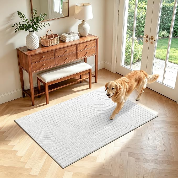 Pauwer 3x5 Area Rugs for Living Room, Modern Non Slip Washable Rug, White | Arch Pattern, Soft Fluffy, Neutral, Boho Accent, Solid Color Floor Carpet, For Kids Room Dining Room Nursery Entryway