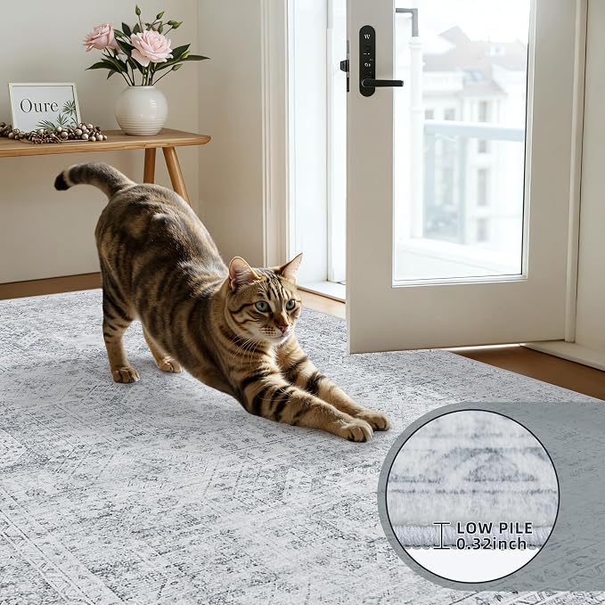 6x9 Area Rugs Living Room: Bedroom Neutral Washable Carpet Gray | Vintage Boho Soft Small Indoor Decor Floor Non-Slip Low Pile Neutral Farmhouse Entryway Laundry Bathroom Bedroom Beside Rugs