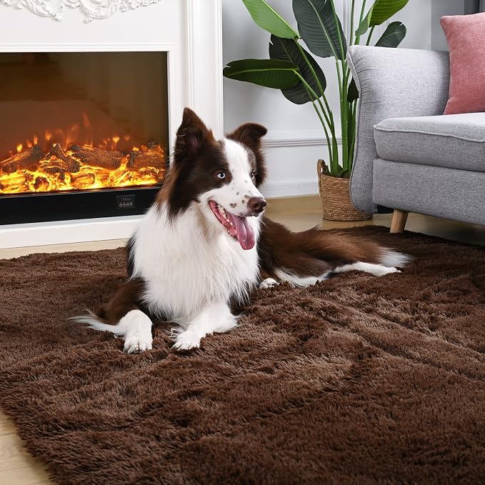 Soft Modern Indoor Large Shaggy Rug for Bedroom Livingroom Dorm Kids Room Home Decorative, Non-Slip Plush Fluffy Furry Fur Area Rugs Comfy Nursery Accent Floor Carpet 6x9 Feet, Brown