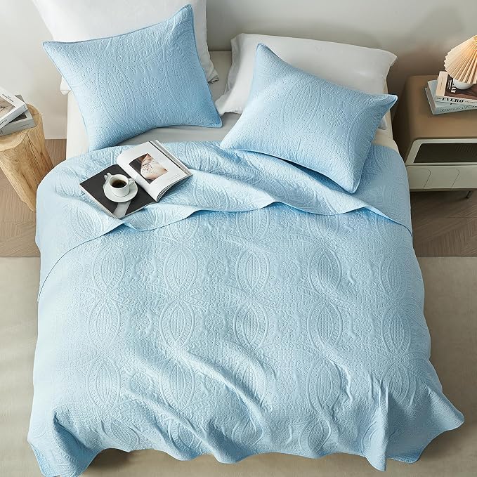 akkialla Twin Quilt Bedding Set,Sky Blue Ultrasonic Quilt Set,Lightweight Soft Bedspread Coverlet,Modern Style Coin Pattern Bed Cover for All Seasons,2 Piece(1 Quilt,1 Pillow Sham)