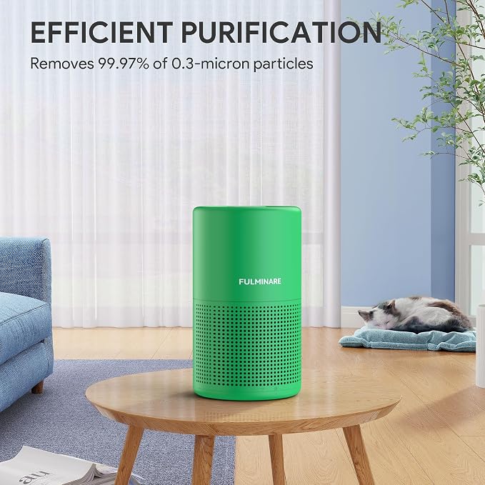 FULMINARE Air Purifiers for Home Bedroom H13 HEPA Air Filter | 360° Intake for Pet Hair, Smoke, Odors , 3 Speeds, Timer, 24dB, Small Mini Air Purifier with Night Light, Mint Green