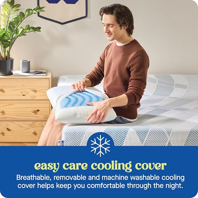 Sealy Dreamlife US Standard Size Memory Foam Cooling Pillow with SealyChill Cooling Gel, Removable Machine-Washable Cover, Made in the USA (2 Pack)