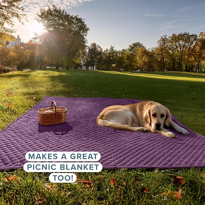 Bare Home Coverlet Set - Twin/Twin Extra Long - Lightweight Bed Decor - Comforter Alternative - All-Season Quilted Bedspread (Twin/Twin XL, Plum)