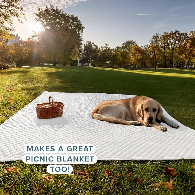 Bare Home Coverlet Set - Full/Queen - Lightweight Bed Decor - Comforter Alternative - All-Season Quilted Bedspread (Full/Queen, White)