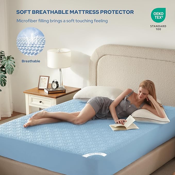 BEDLORE Waterproof Mattress Protector, Queen Size Mattress Pad Noiseless | Deep Pockets Fit 6"-18" Mattresses, Soft Breathable Dirt-proof Bed Mattress Cover Washable for Bedroom, Hotel (Sky Blue)