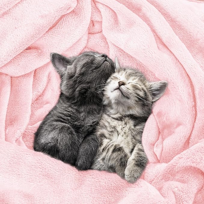 Utopia Bedding Fleece Blanket Queen Size Pink 300GSM Luxury Fuzzy Soft Anti-Static Microfiber Bed Blanket (90x90 Inch) (Pack of 2)