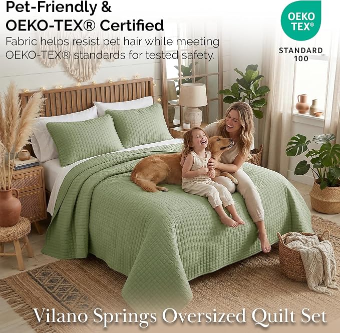 Southshore Fine Living, Inc. Bed Quilts Queen Size Set, Pet Hair Resistant Bedding, Soft Coverlet Queen Size, Full Quilt Set with 2 Pillow Shams, Lightweight Full Bedspread, Sage Green Quilt