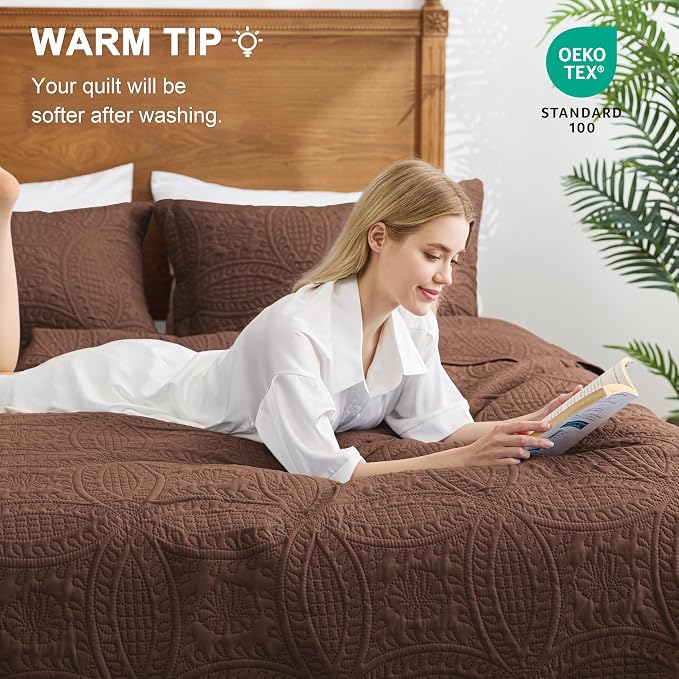 Love's cabin Oversized King Size Quilt Bedding Set Brown Bedspreads - Oversized King Lightweight Bedspread Comforter - Coin Pattern Coverlet for All Season - 3 Pieces (1 Quilt, 2 Pillow Shams)