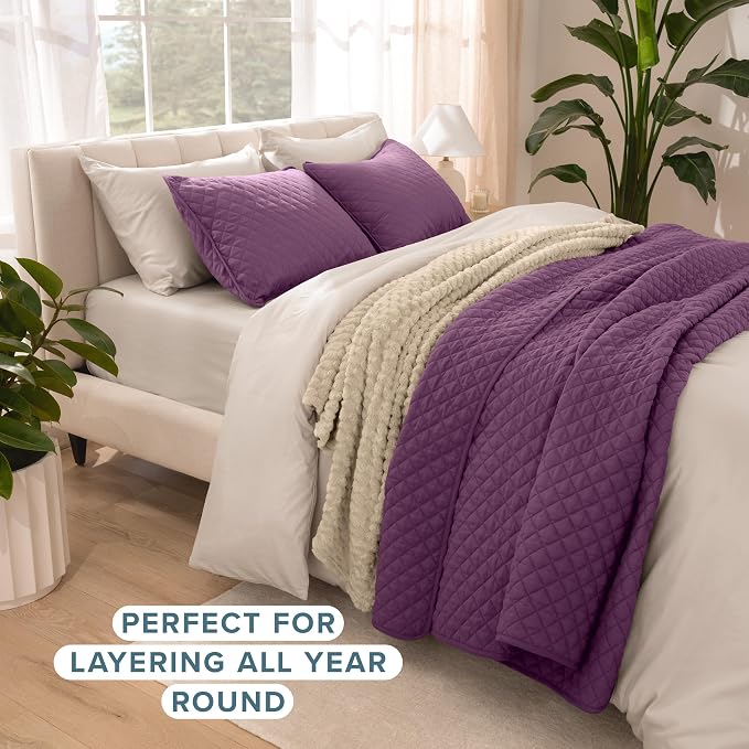 Bare Home Coverlet Set - Full/Queen - Lightweight Bed Decor - Comforter Alternative - All-Season Quilted Bedspread (Full/Queen, Plum)