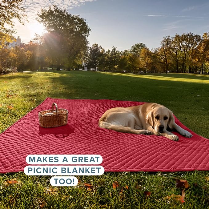 Bare Home Coverlet Set - Full/Queen - Lightweight Bed Decor - Comforter Alternative - All-Season Quilted Bedspread (Full/Queen, Red)