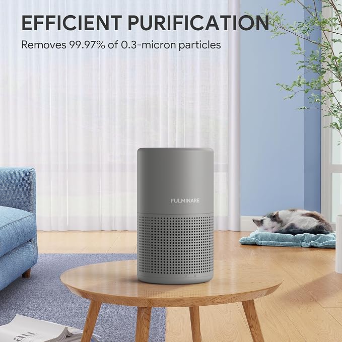 FULMINARE Air Purifiers for Home H13 True HEPA Air Filter (Gray 2 Pack) | Remove Pet Hair, Smoke, Odors，Quiet Air Cleaner With Night Light, Portable Small Air Purifier for Home, Office, Living Room