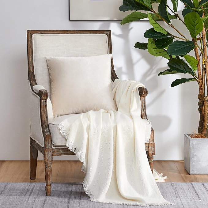 GIGIZAZA Velvet Ivory Cream Throw Pillow Covers Decorative Cushion Covers Pillow Cases Sham for Sofa Couch (20x20inch(50x50cm)-4pcs, Ivory)