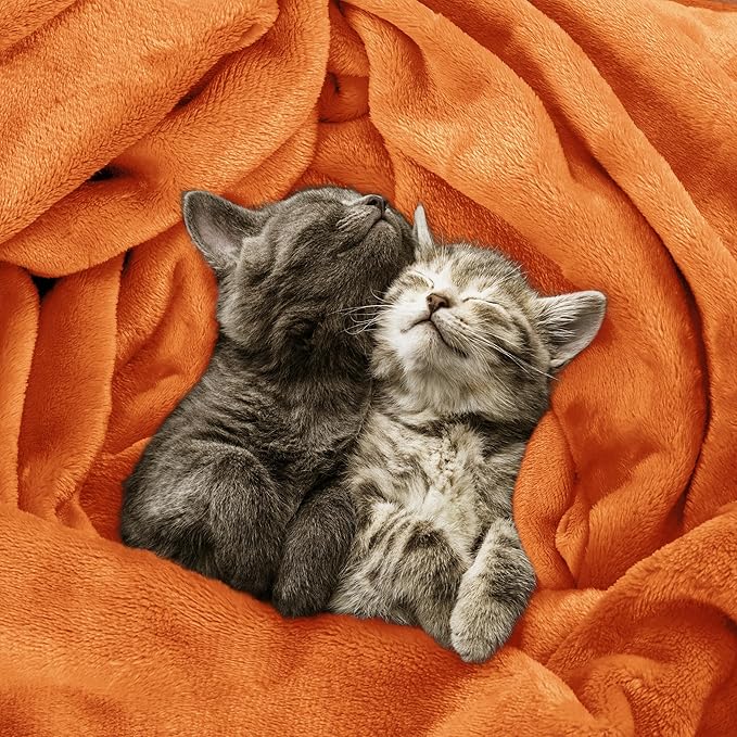 Utopia Bedding Soft Fleece Bed Blanket Queen Size Burnt Orange (90x90 Inch) | Microfiber Plush Warm Lightweight Breathable Cozy Blanket Anti-Static, All Season Use, Gift for Women and Men
