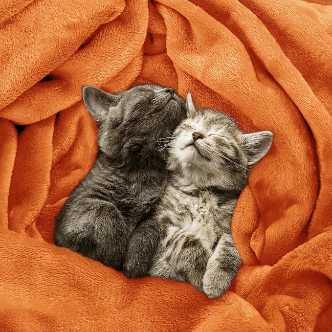 Utopia Bedding Soft Fleece Bed Blanket Twin Size Burnt Orange (60x80 Inch) | Microfiber Plush Warm Lightweight Breathable Cozy Blanket Anti-Static, All Season Use, Gift for Women and Men