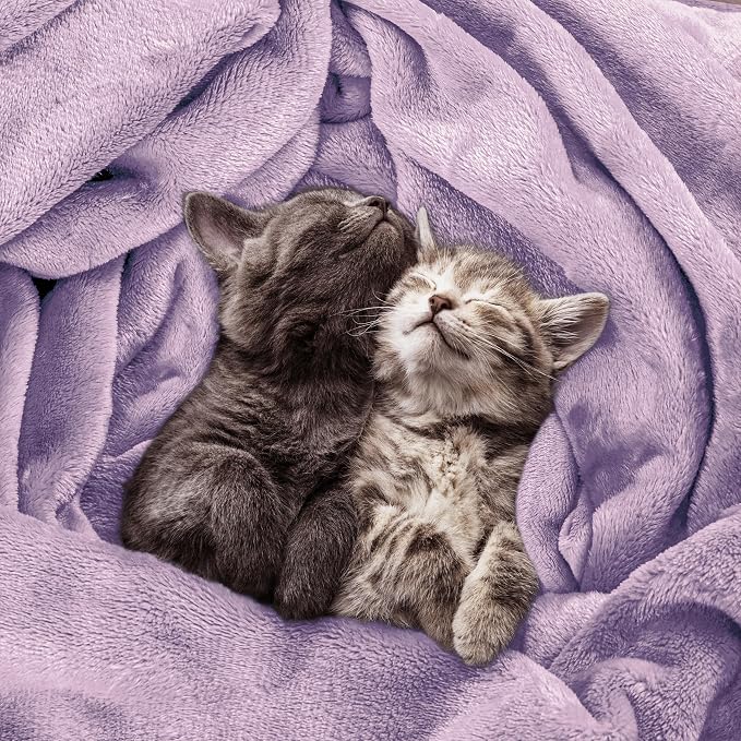 Utopia Bedding Ultra Soft Fleece Bed Blanket Queen Size Lilac (90x90 Inch) | Microfiber Plush Warm Lightweight Breathable Cozy Blanket Anti-Static, All Season Use, Gift for Women and Men